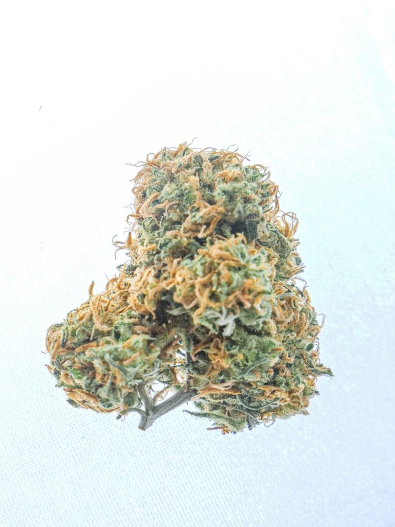 close up photo of kush on white background